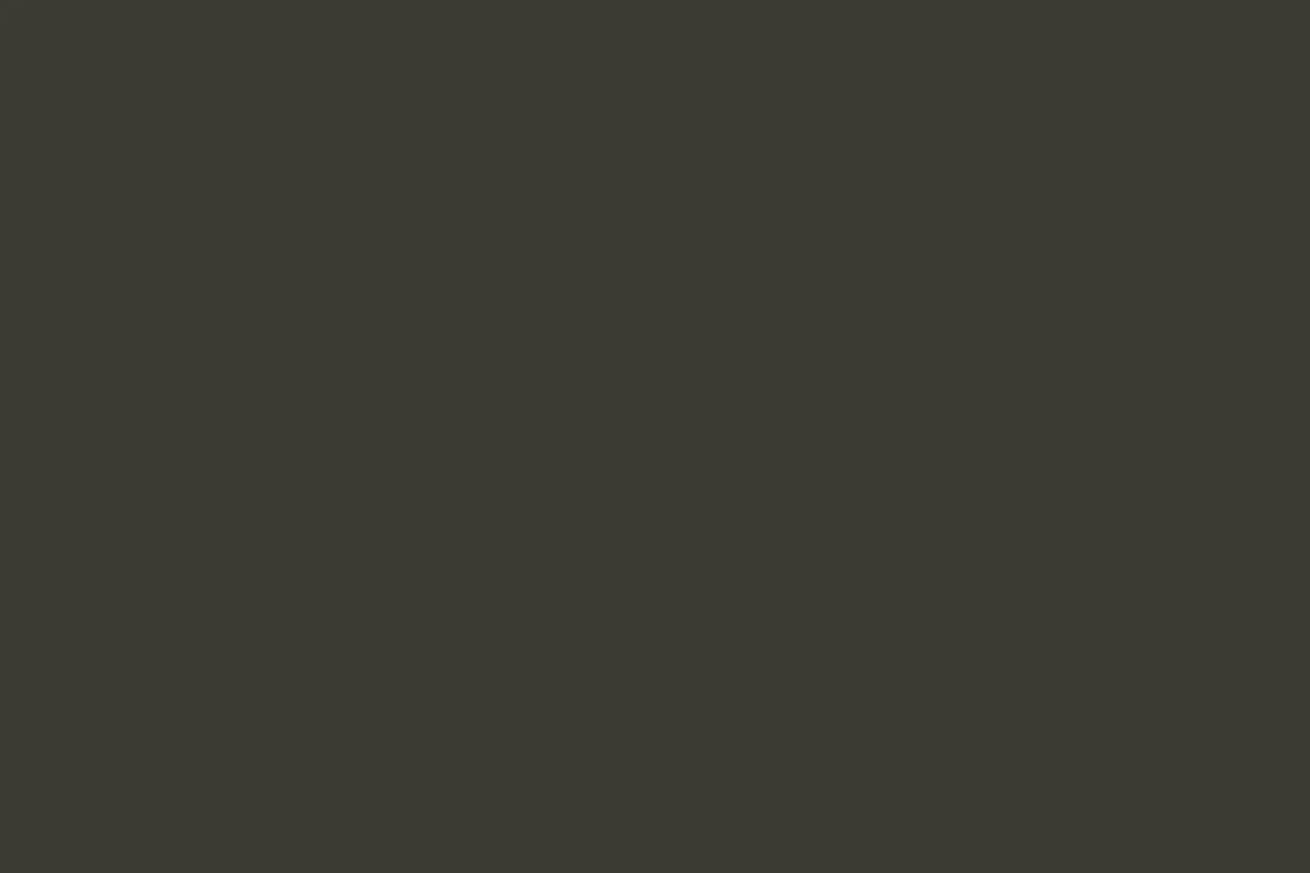 Placeholder portfolio foto 1 — te vervangen door echt werk
